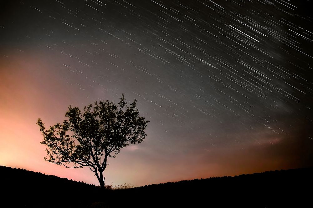 Идилличность