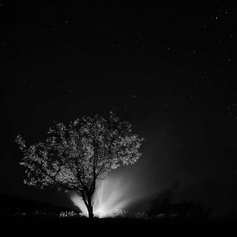 Тень величия