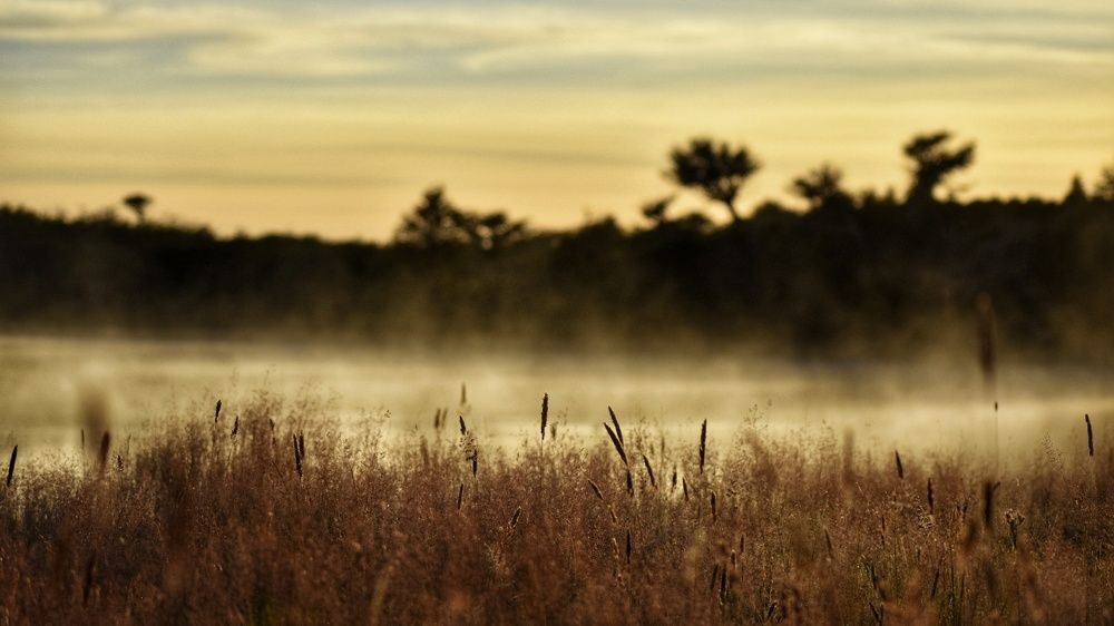 Amanecer en Puerto Natales