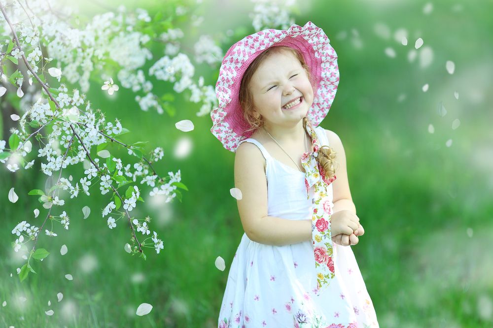 Цветущая вишня