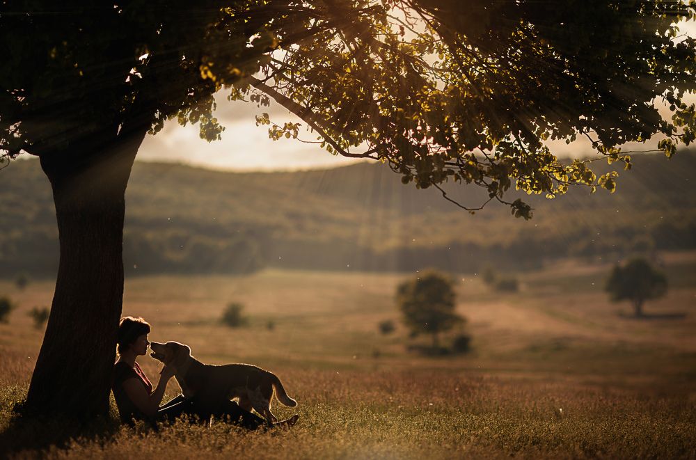 Летний вечер