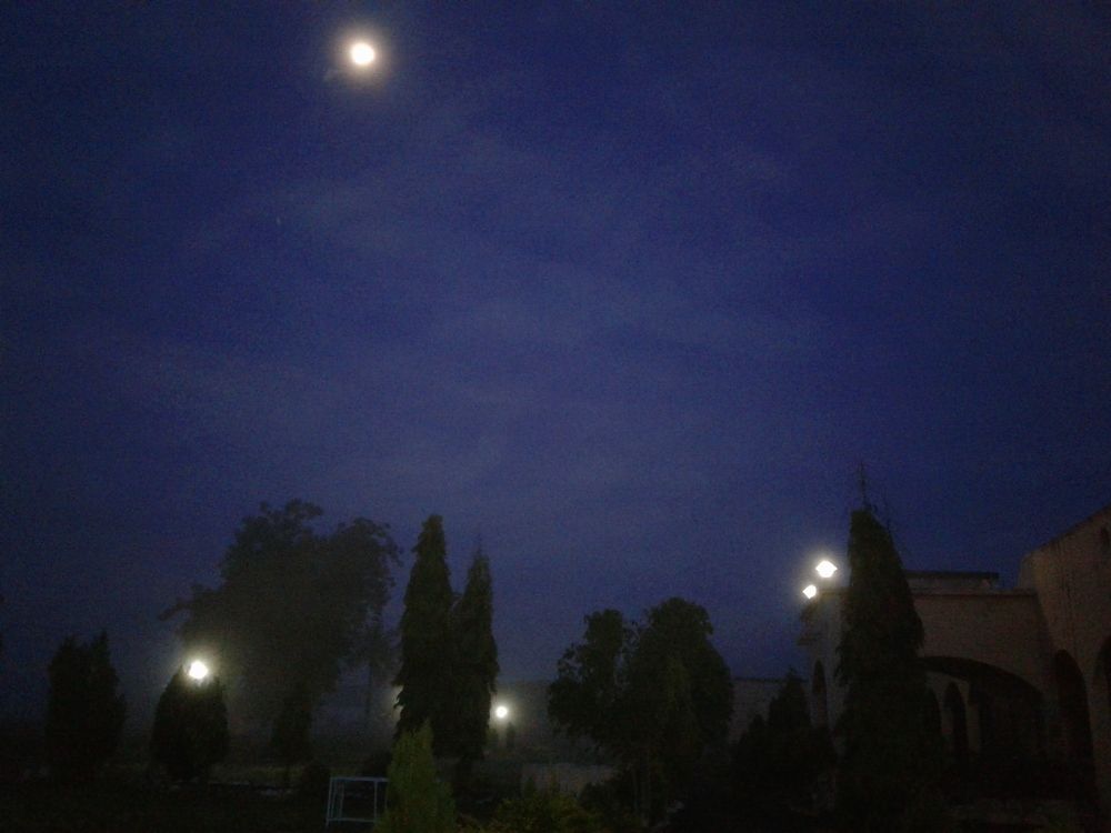 Photo #2428331