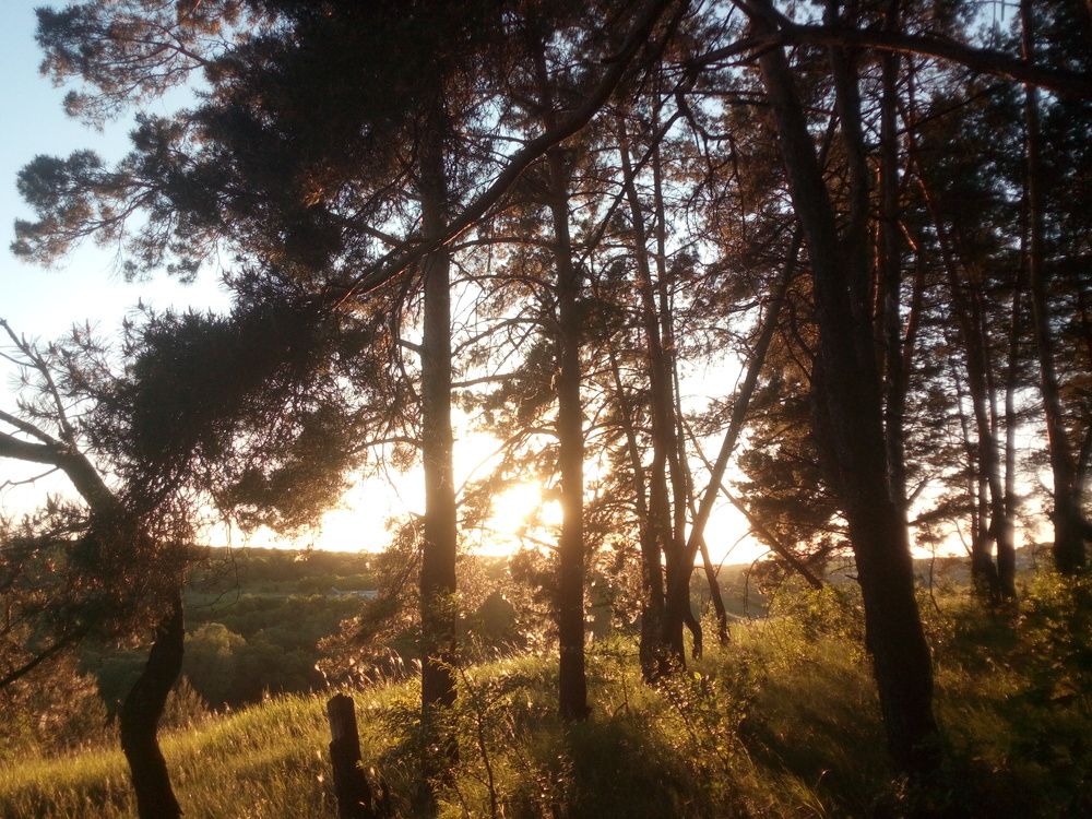 Photograph by Яна Капусник