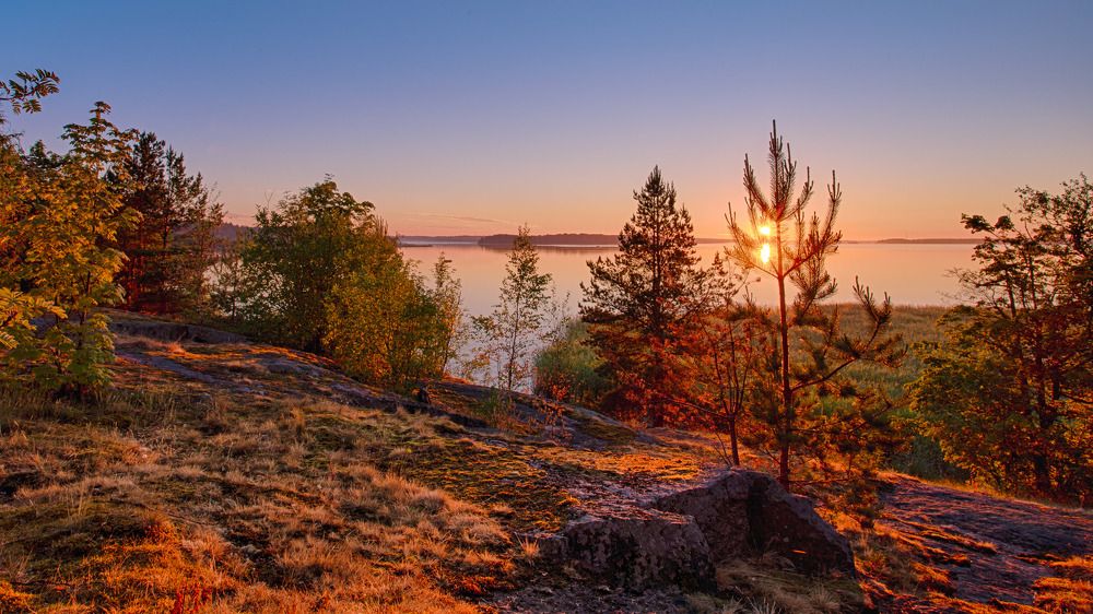 на Финском заливе...