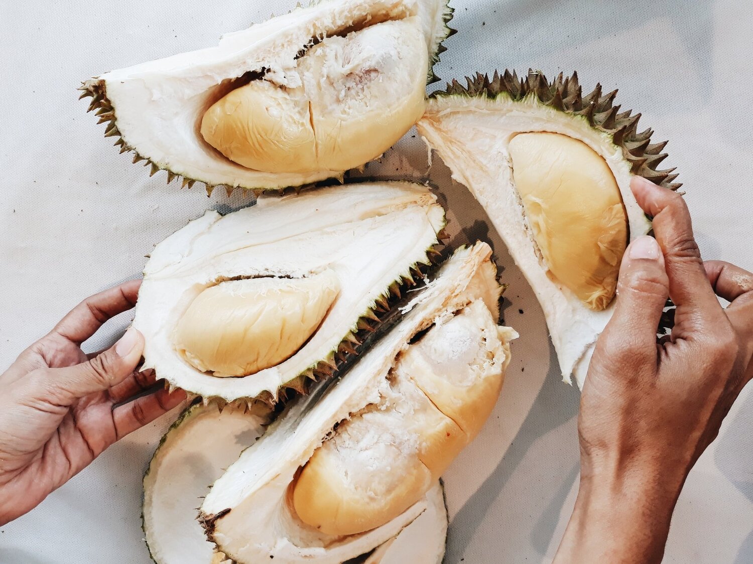 The king of fruits, Durian.