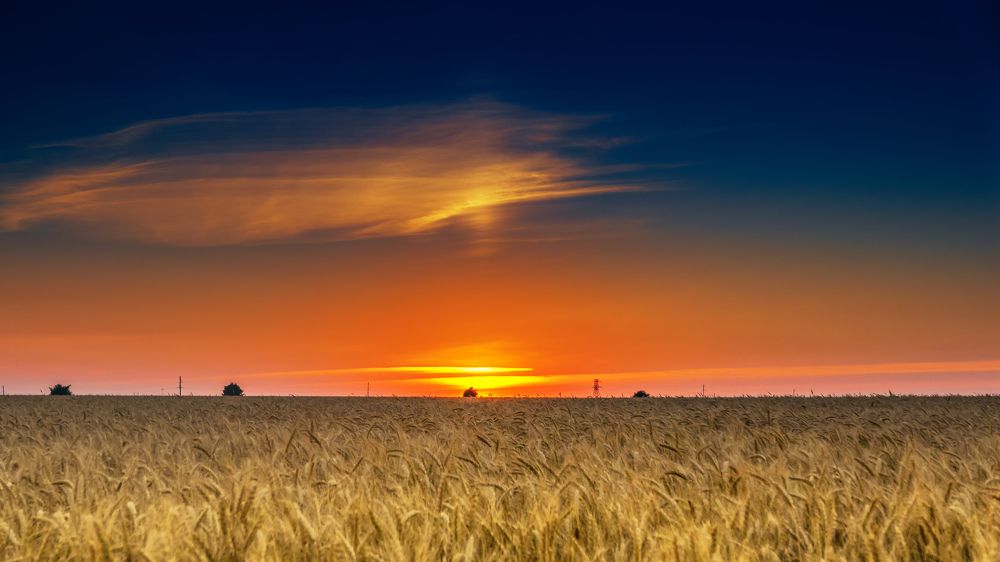 Закат в поле