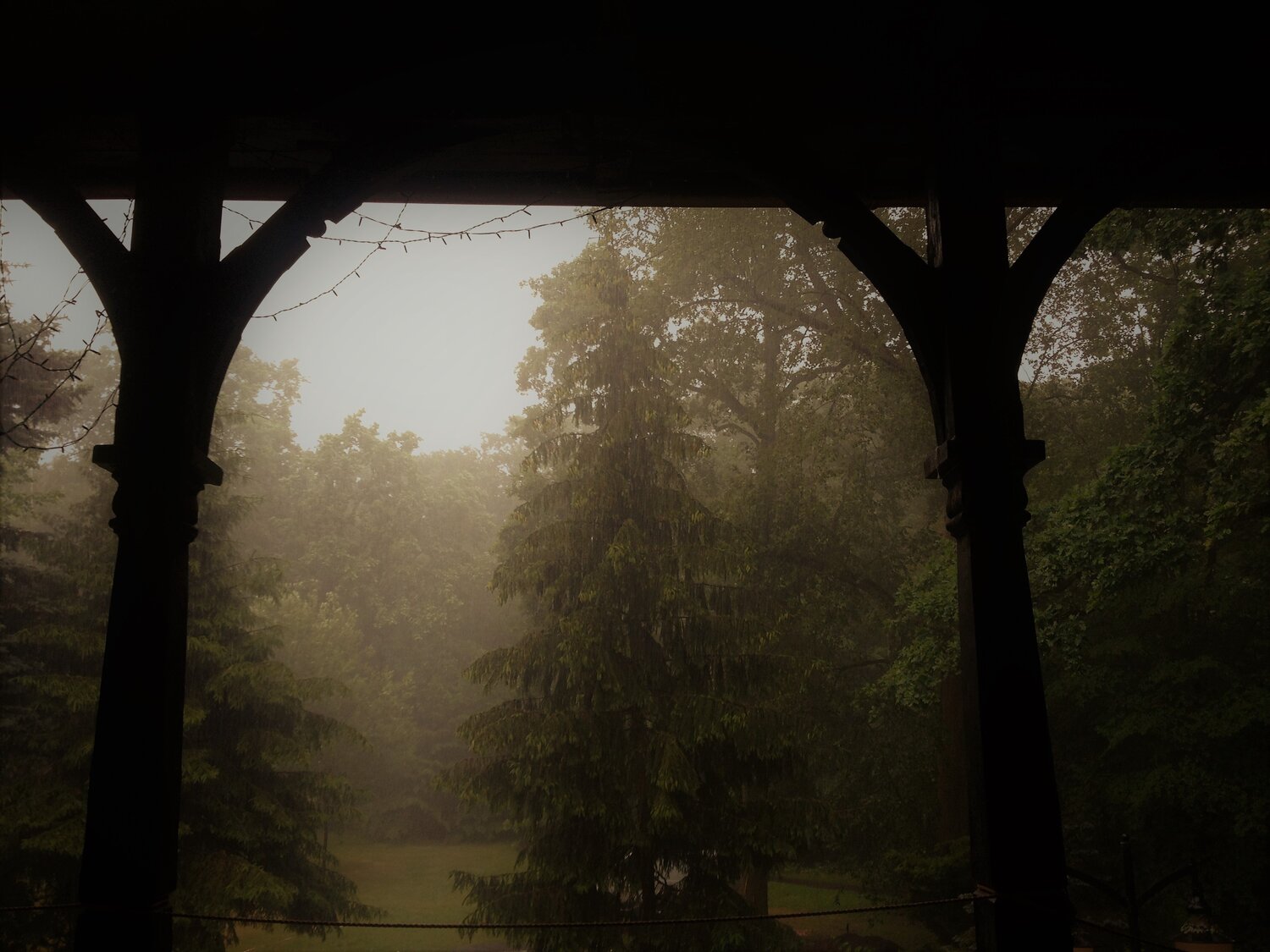 Rainy seasons