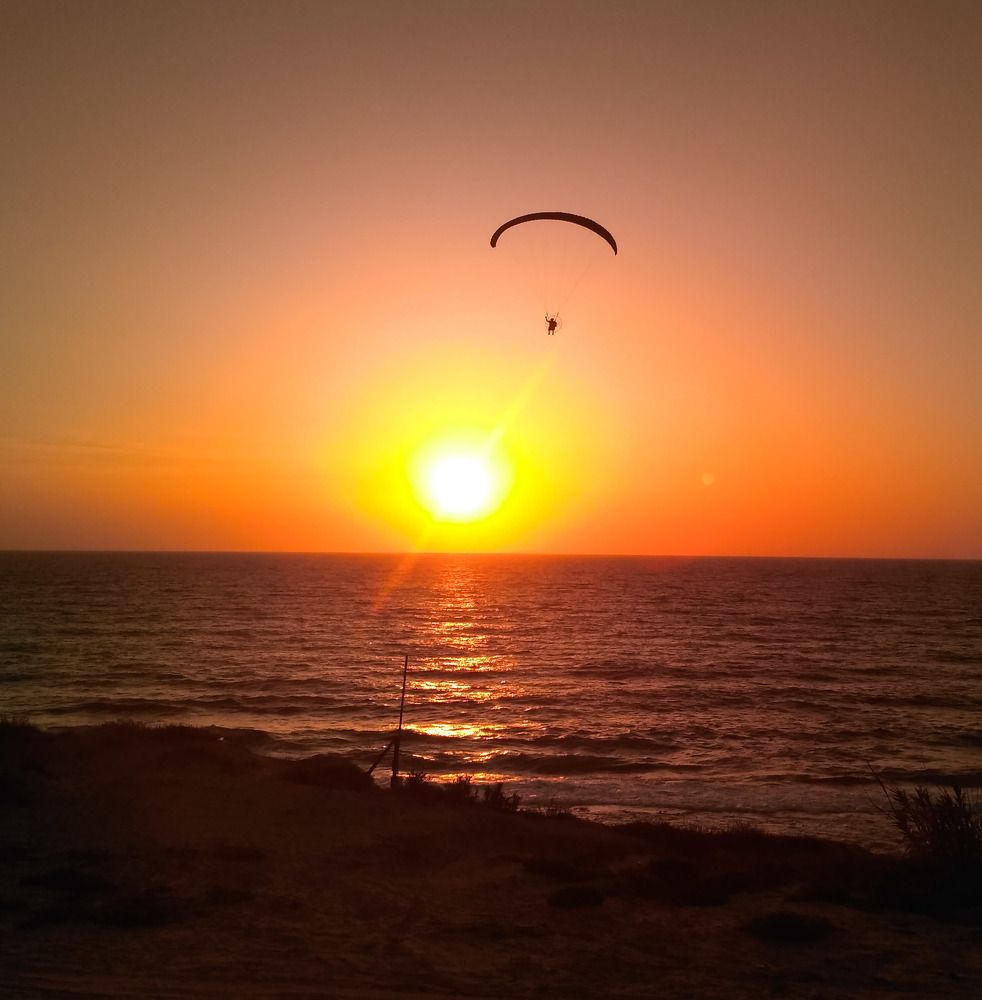 Он улетел,но обещал вернуться