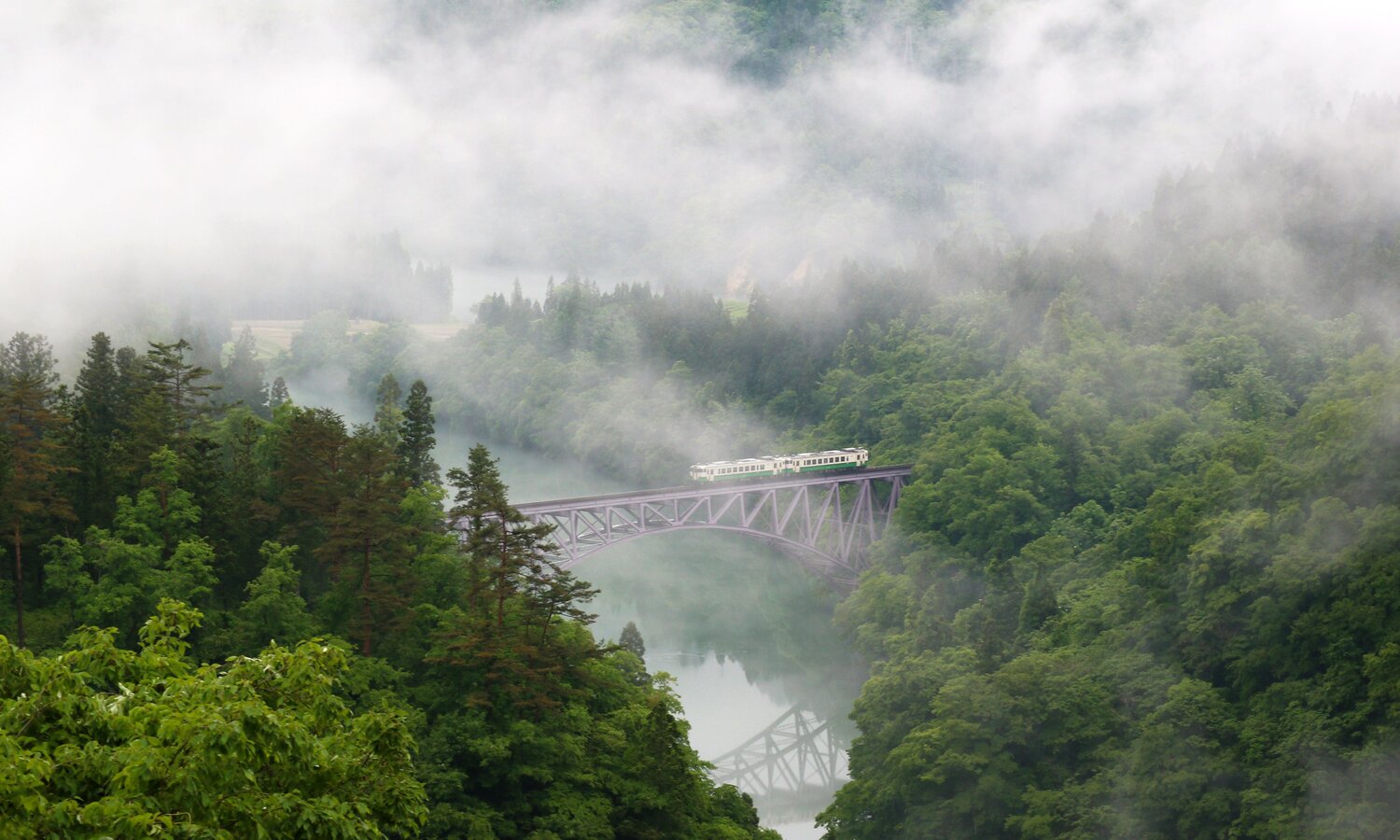 A train in foggy morning