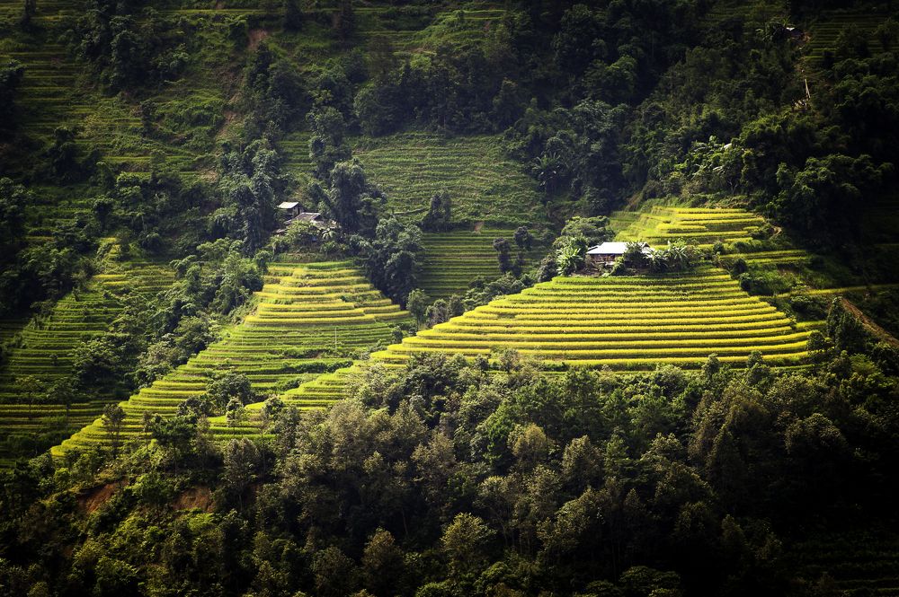 Gold in the mountain