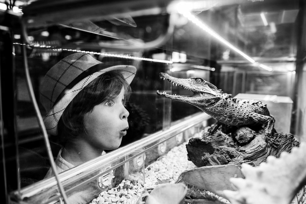 Photograph by Ирина Хромова