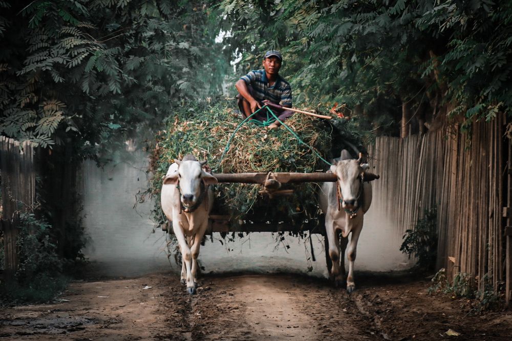 Rural Transportation in Myanmar