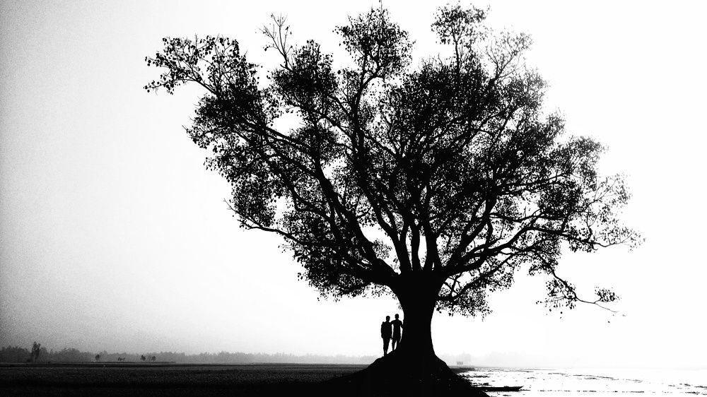 তারা দাঁড়িয়ে দিগন্তে