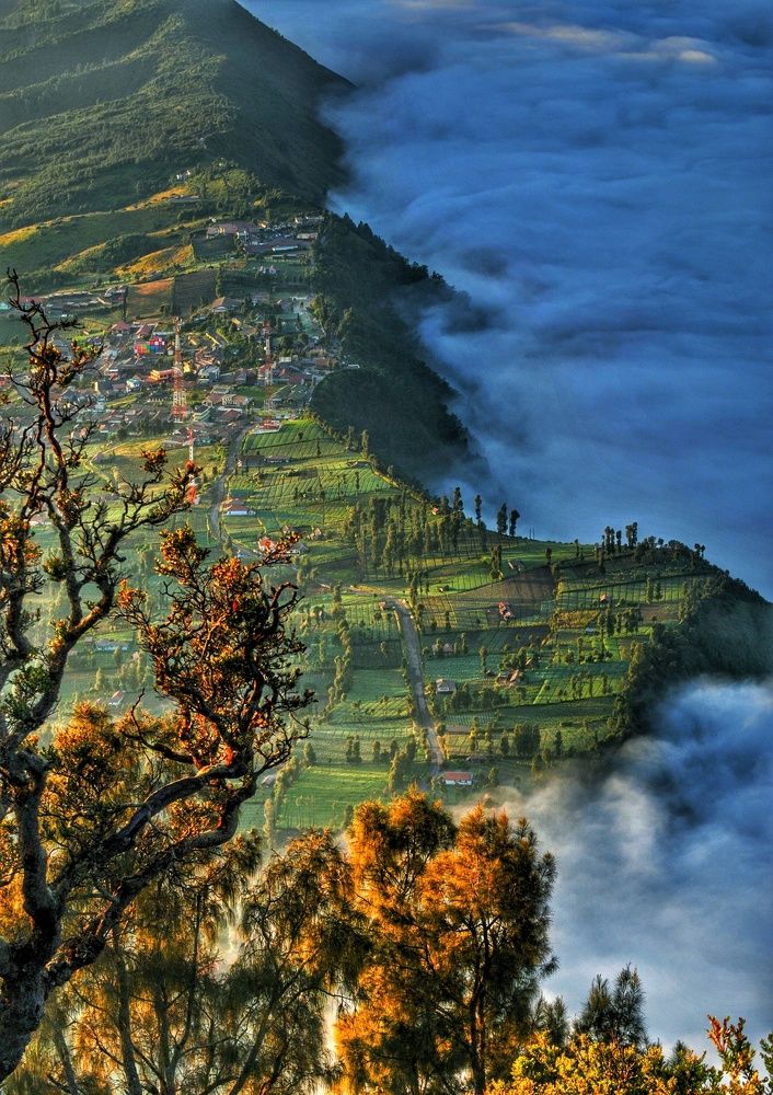 Cemoro Lawang Village