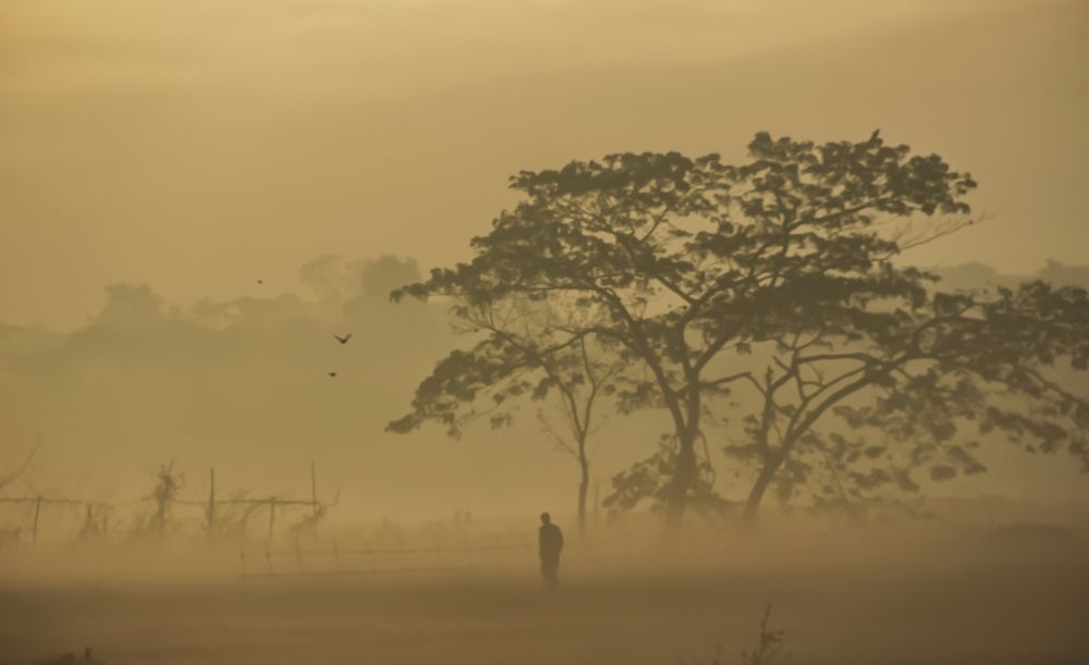 A winter morning....