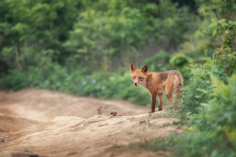 Ты заходи, если что!