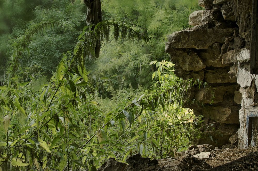 никто здесь не живет