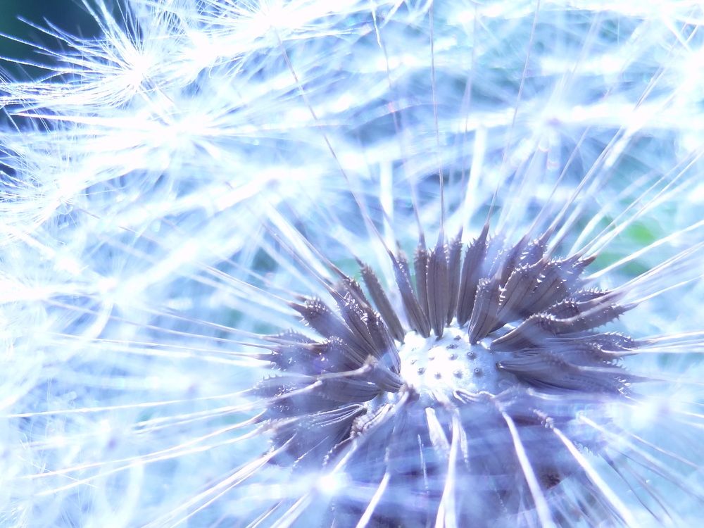 Photograph by Стефанова Татьяна