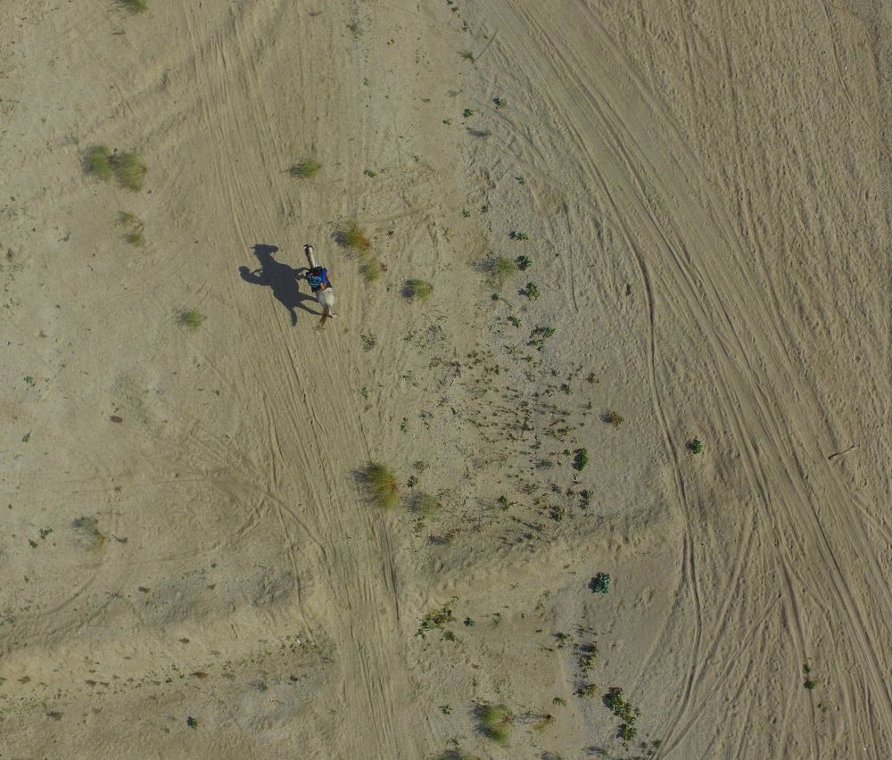 Одинокий всадник