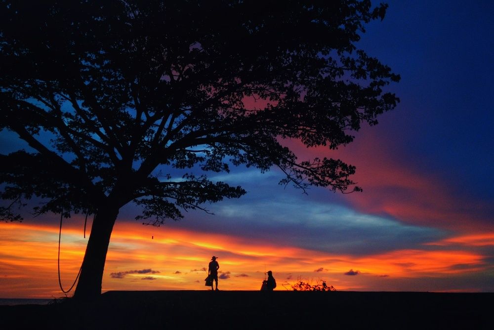 the beautiful sunset