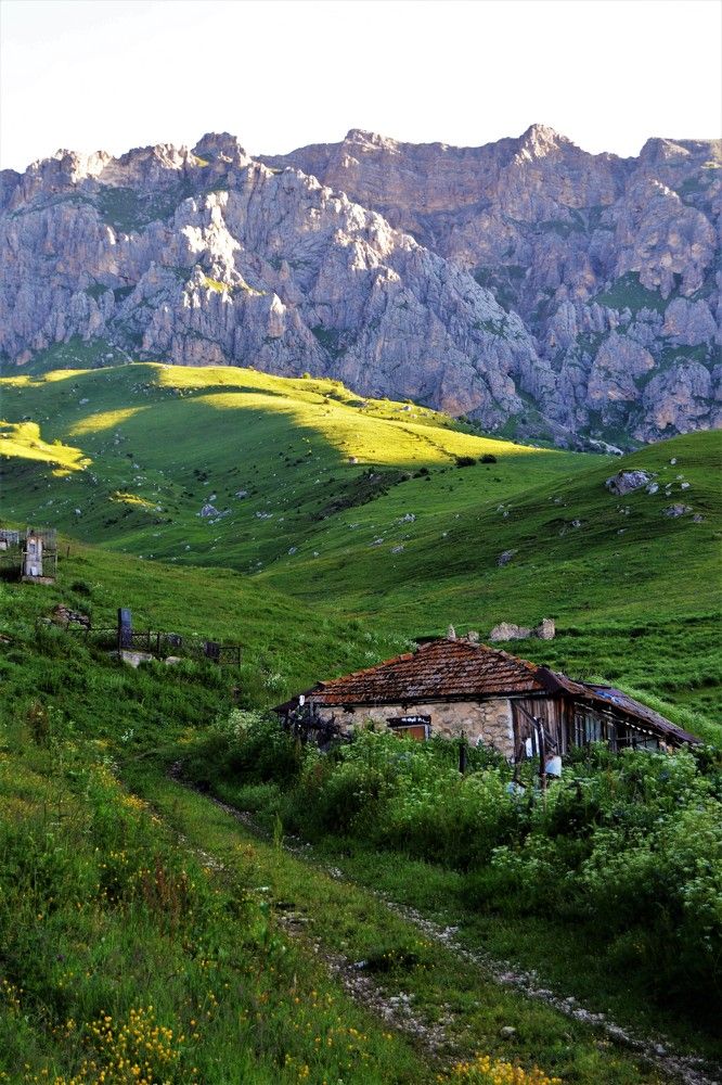 Верхний Ход