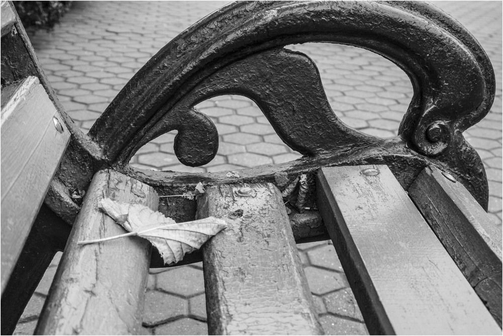 Осень в парке.