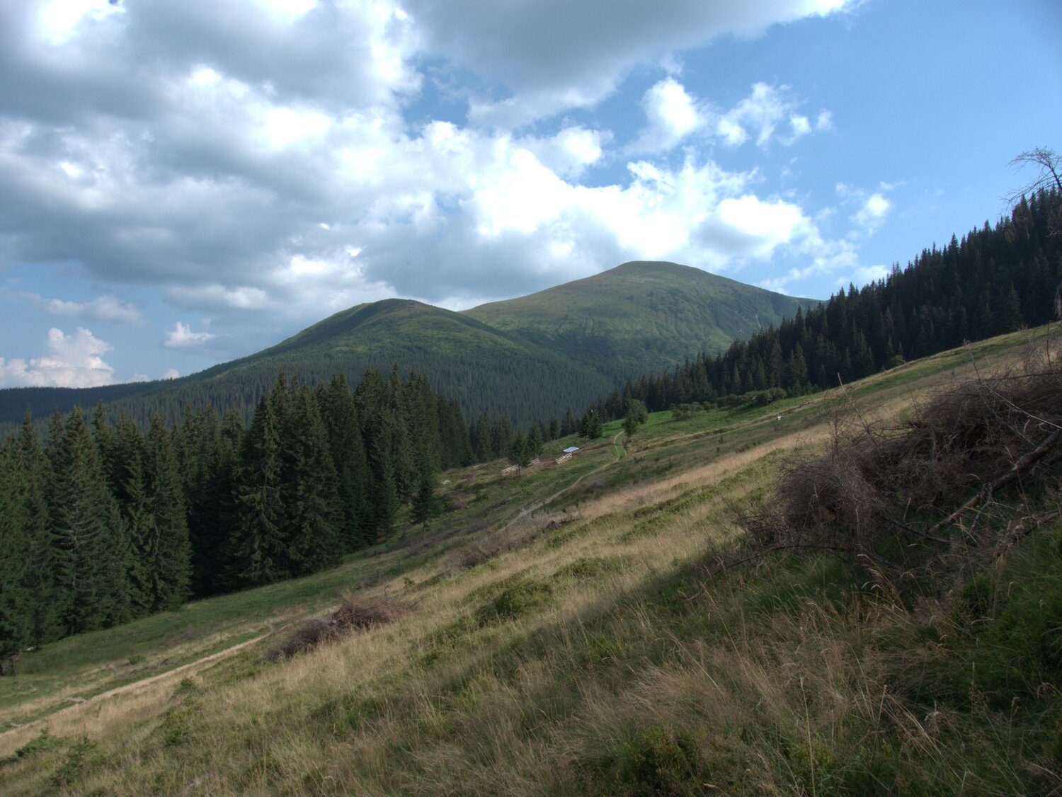 Somewhere in the highland