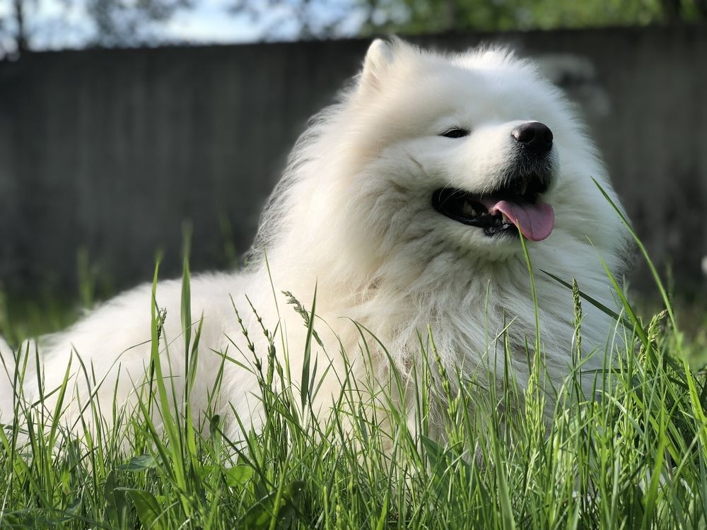 Мой любимый Мишка.