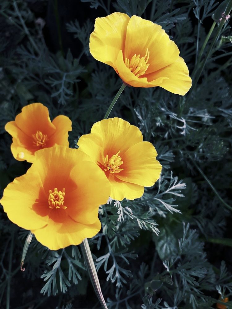 Photograph by Карханина Анна