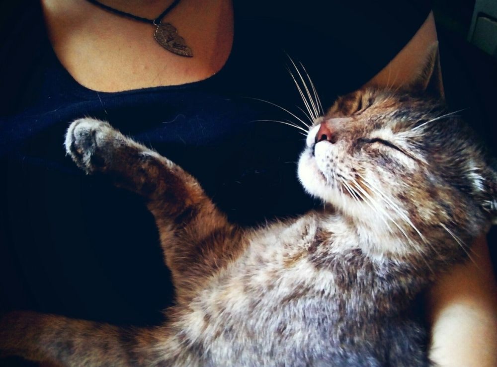 Photo #2430613