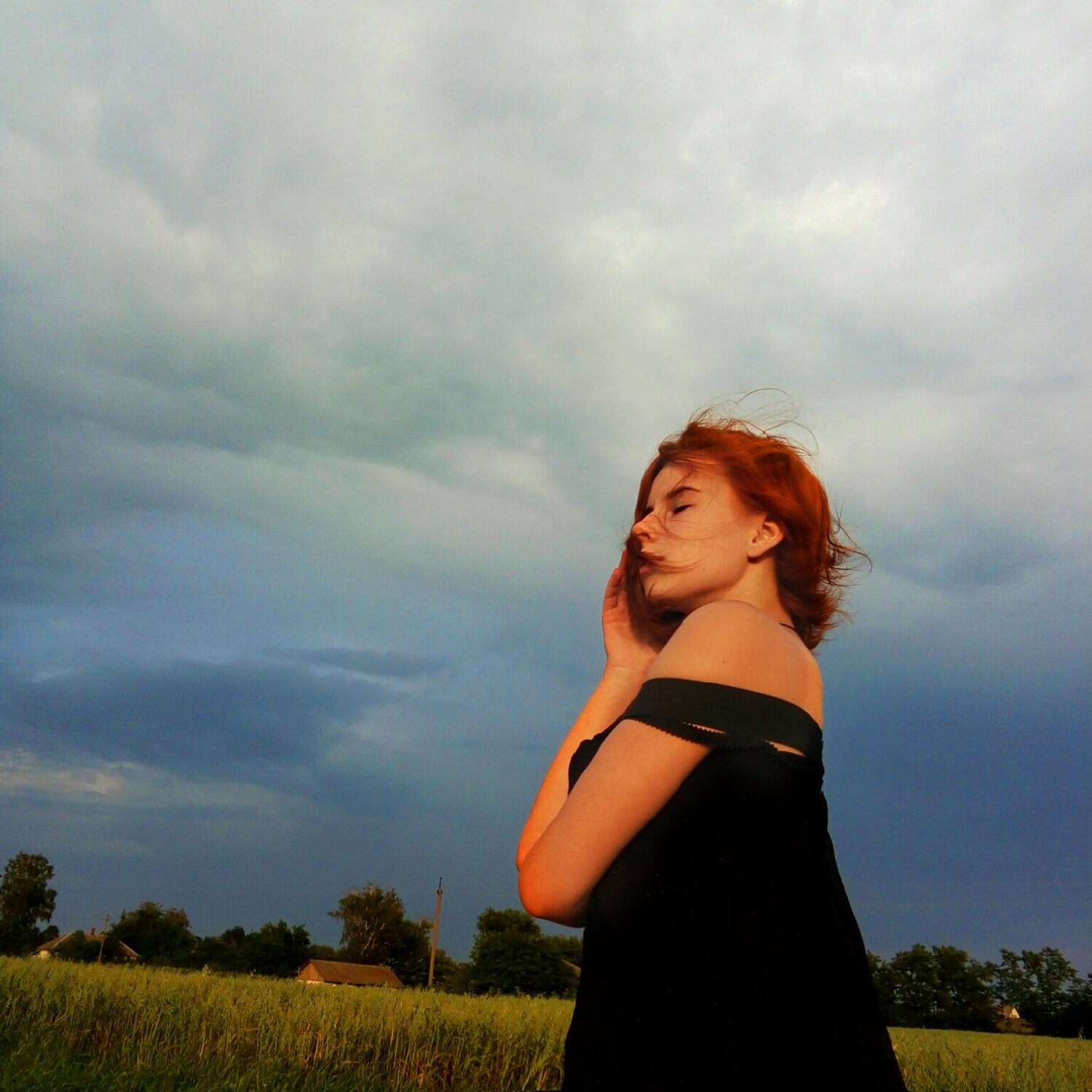 Photo #2430620