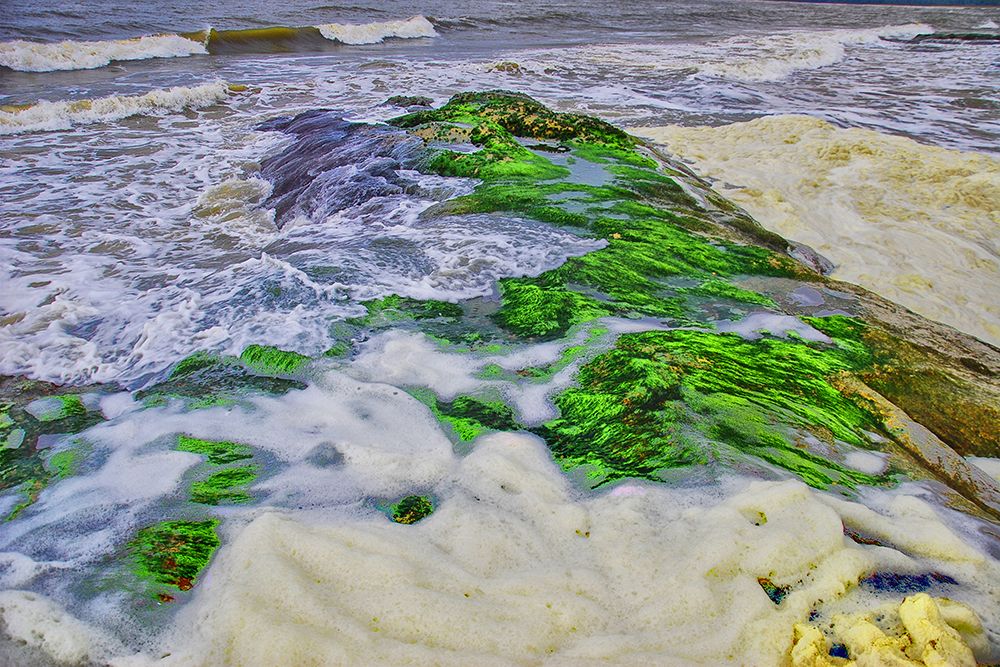 Bờ Biển Ninh Chữ