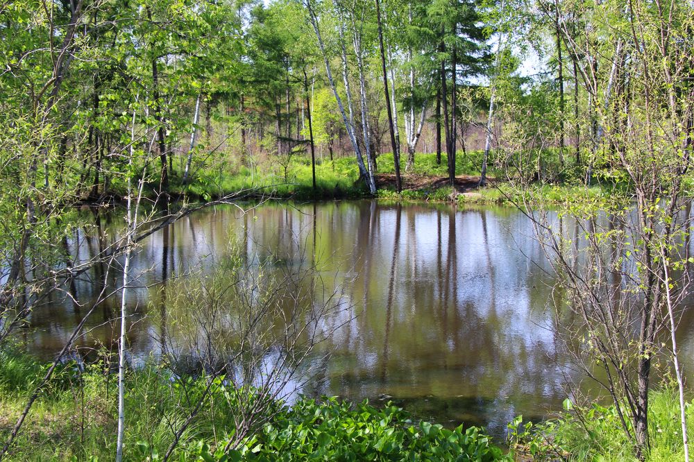 Сказочное лесное озеро