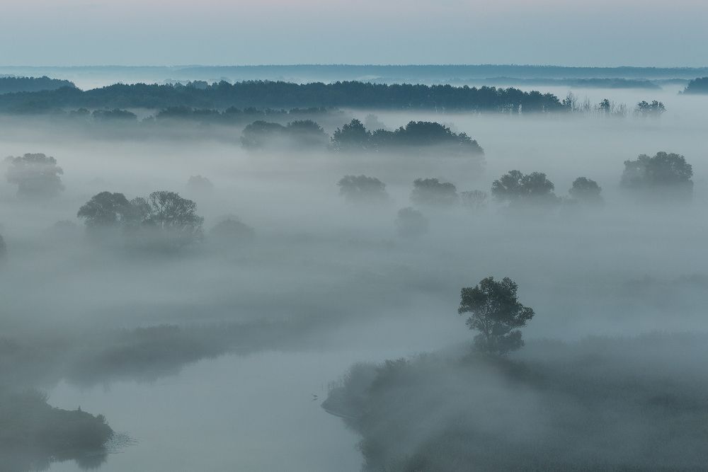 Одинокая птица