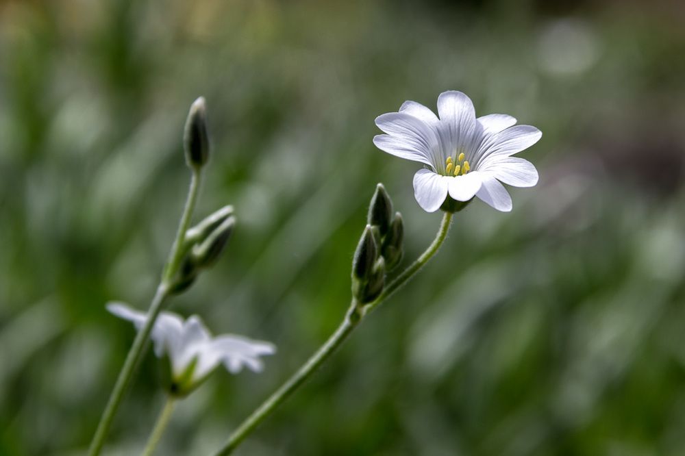 Photograph by Александр Кузнецов