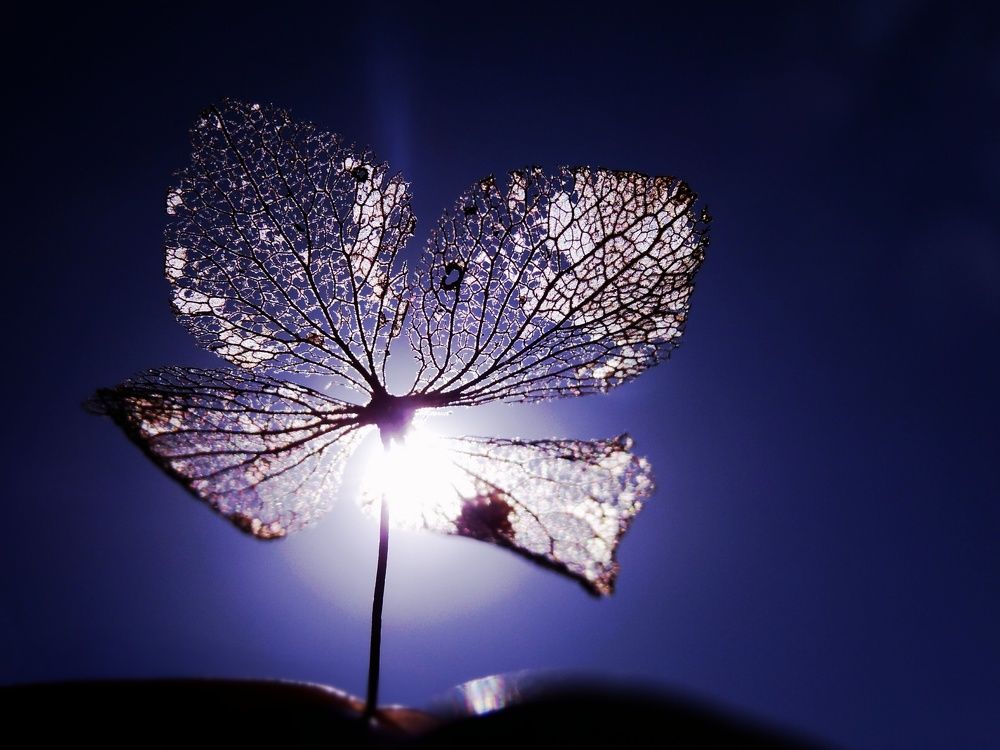 Photograph by Стефанова Татьяна