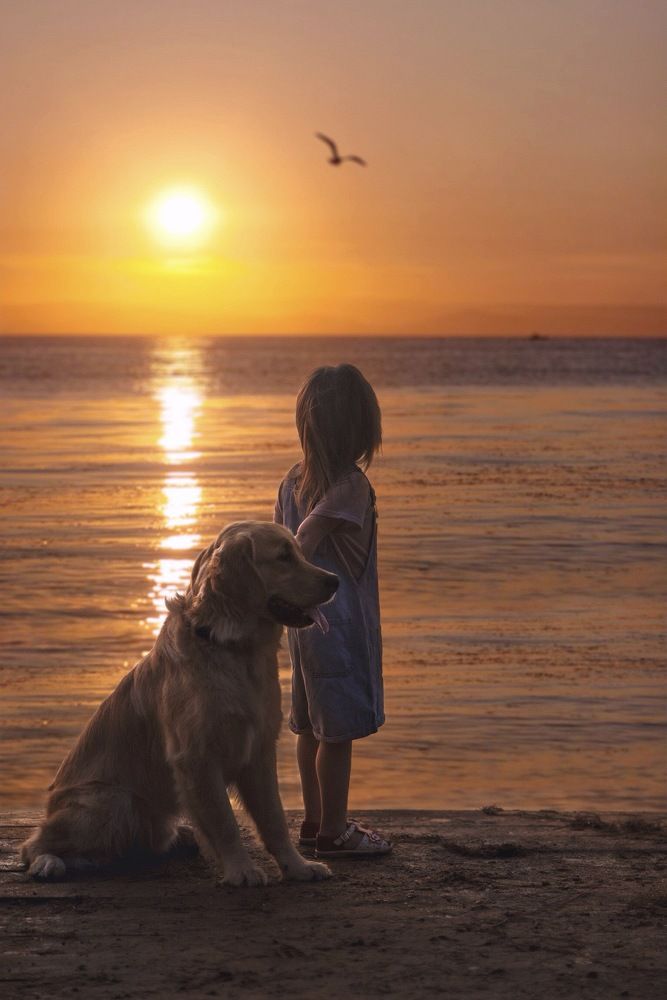 Пора домой