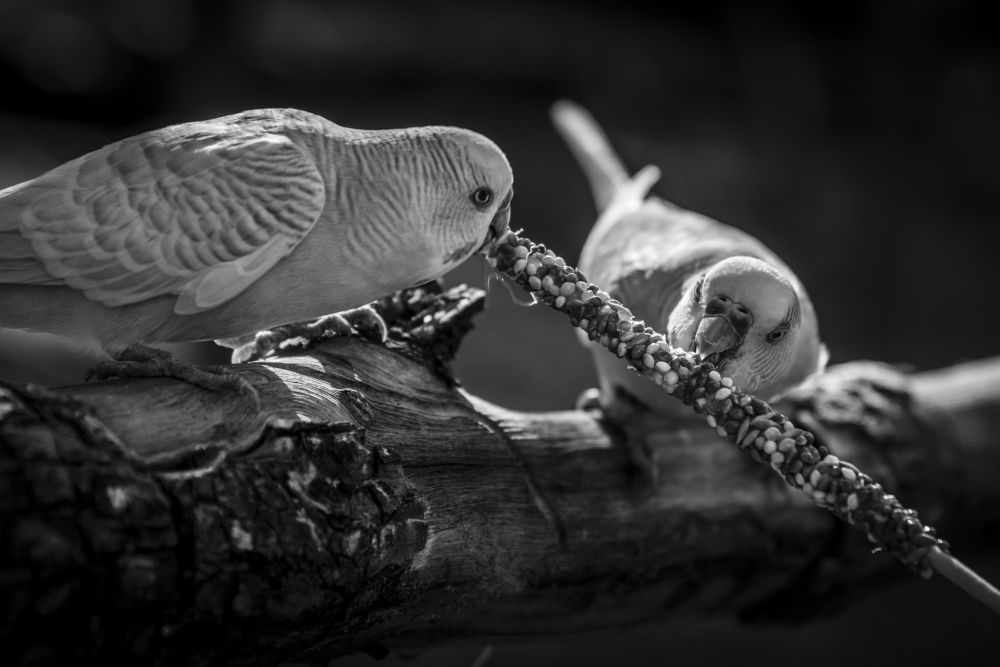 Compartiendo un instante