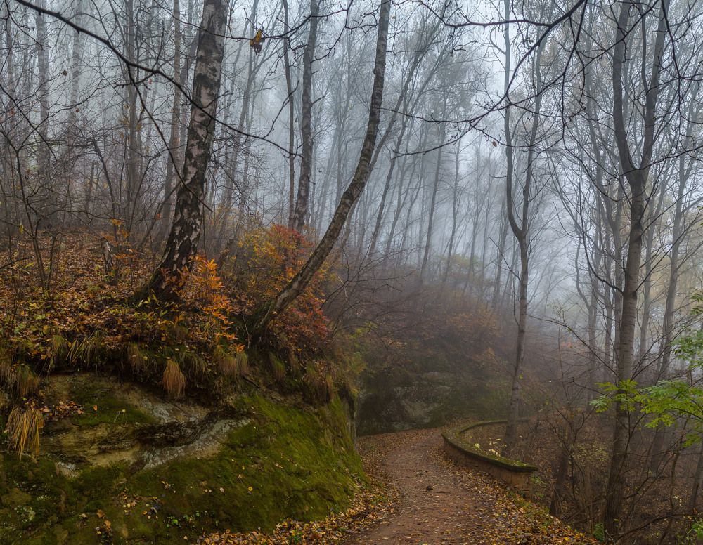 Туманное утро