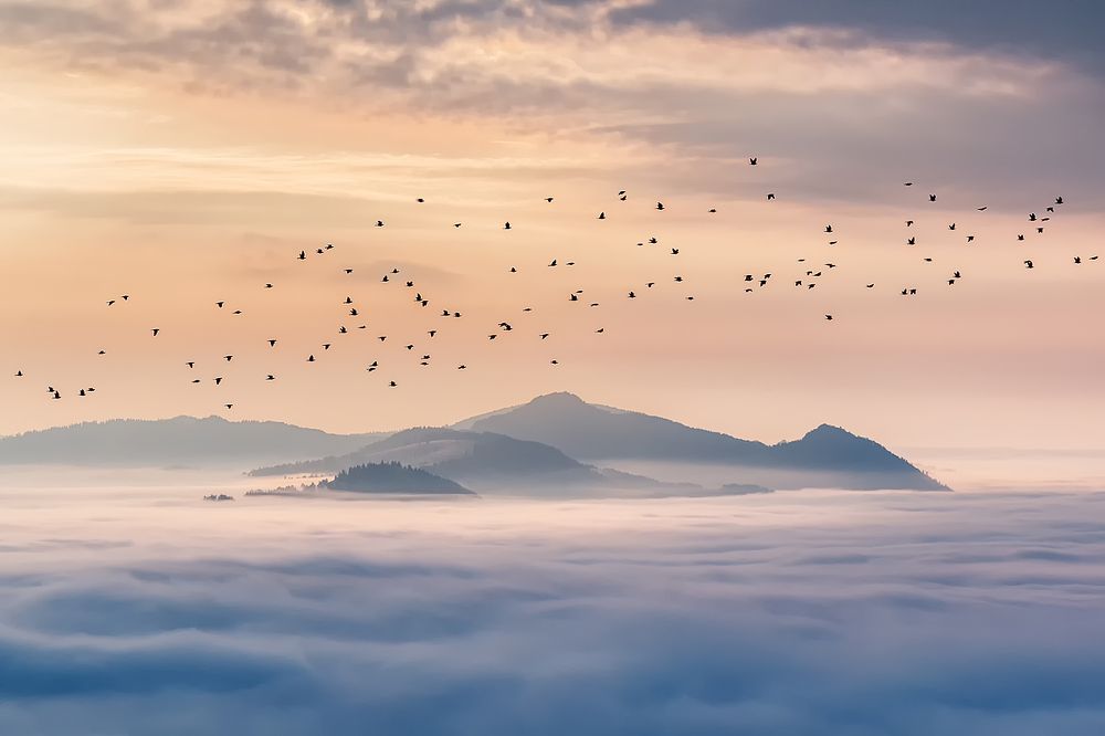 Pieniny after sunset
