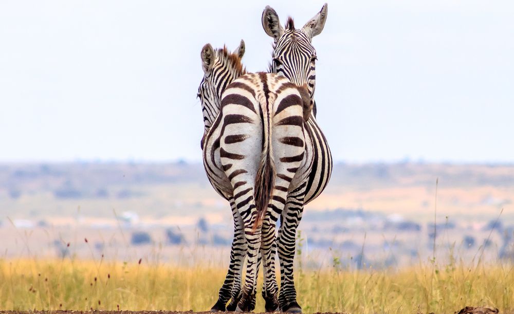 Photograph by Samuel kivevo