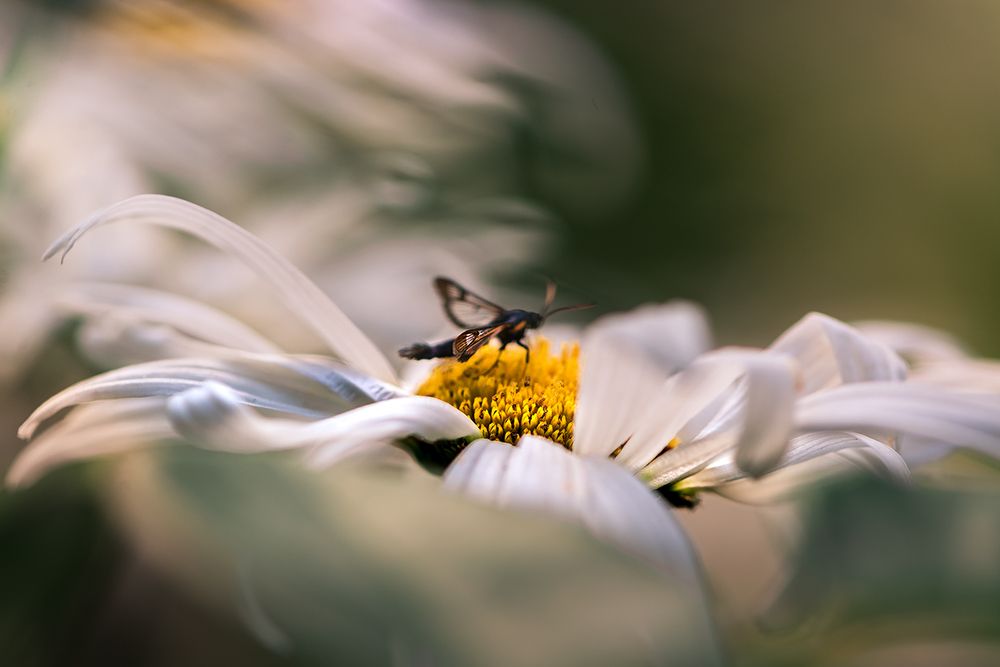 Штормовое предупреждение