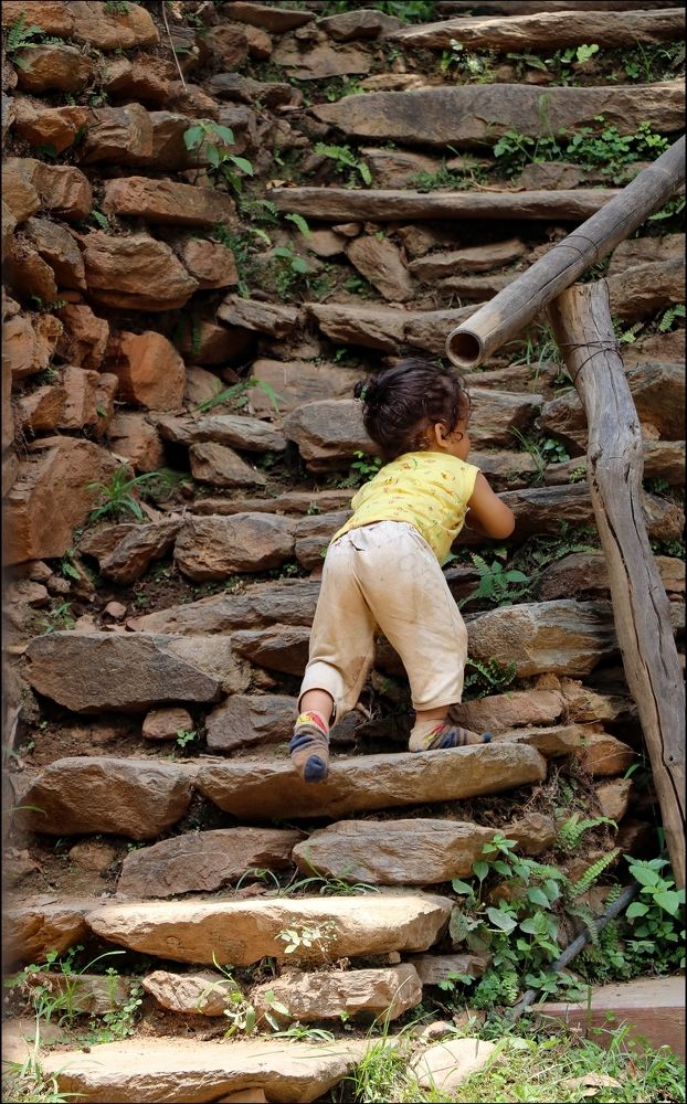 Learn to perform , perform to learn.