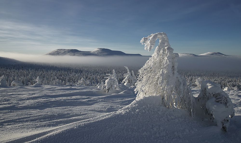 Морозный день
