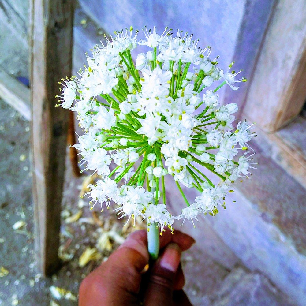 Photograph by Shubham Ghaywat