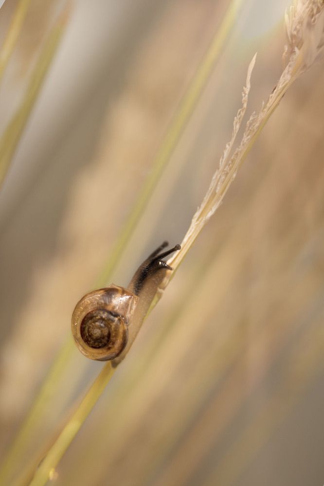 Вверх к солнцу.