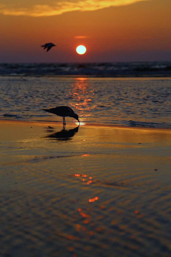 Попить солнце