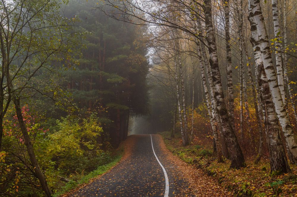 Осеннее утро