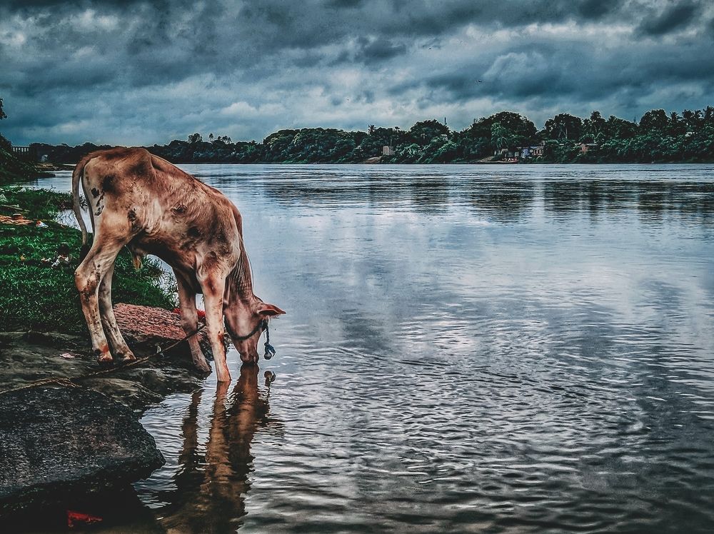 Ganga-The lifeline of India