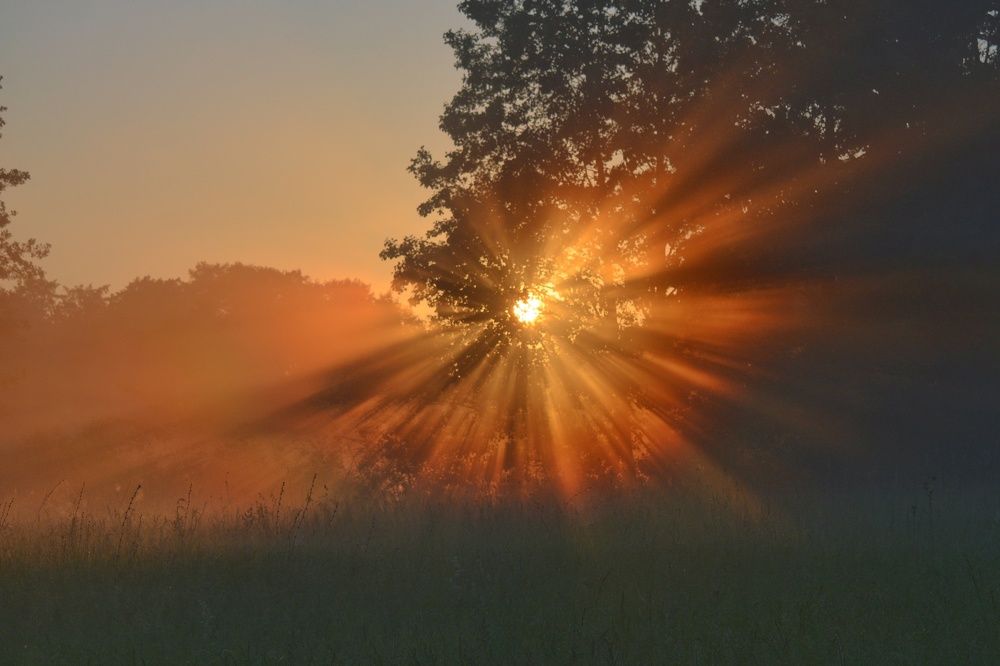 Рассвет на лугу